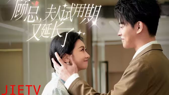 顾总，夫人试用期又延长了