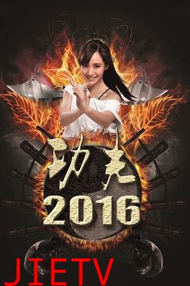 功夫2016