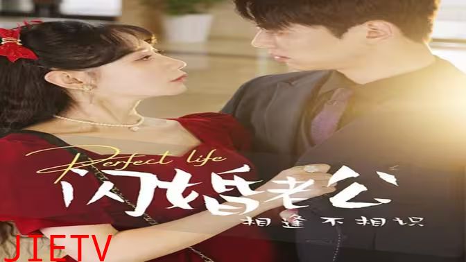 闪婚老公相逢不相识