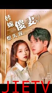 替嫁傻妻想失宠