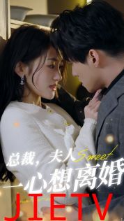 总裁，夫人一心想离婚