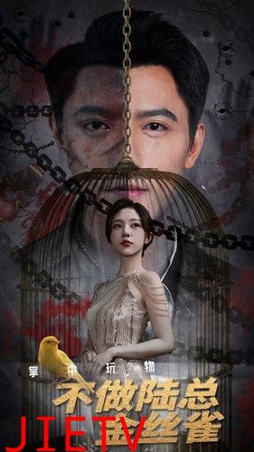 掌中玩物不做陆总金丝雀