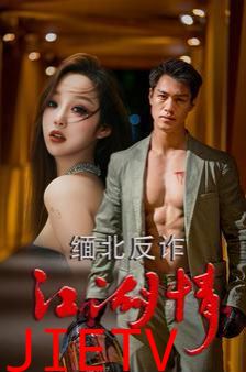 缅北反诈江湖情