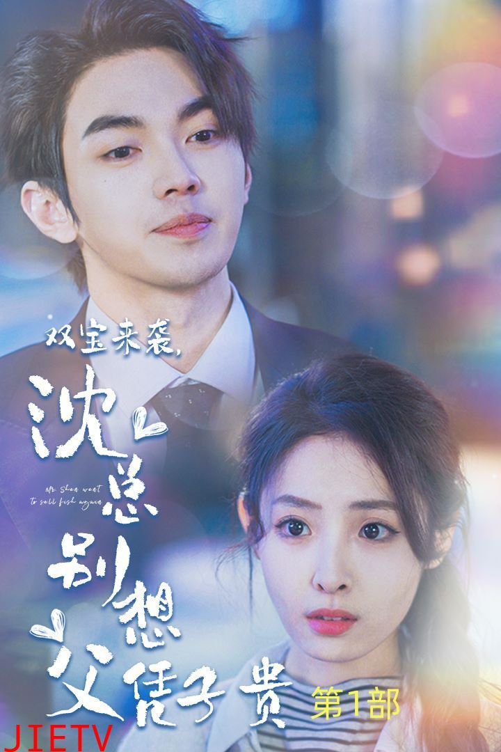 双宝来袭沈总别想父凭子贵（报告妈咪便宜爹地竟是总裁）