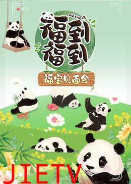 福到福到福宝见面会