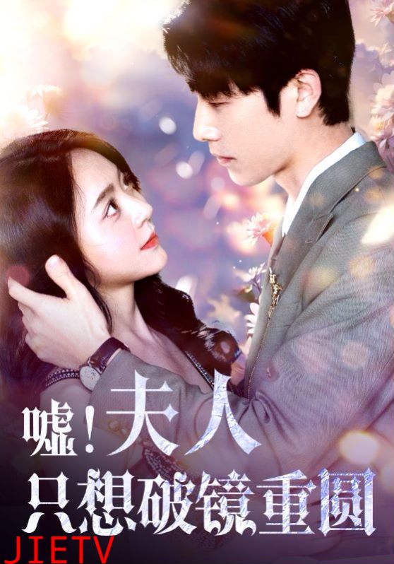 嘘夫人只想破镜重圆