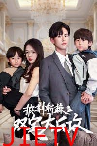 披荆斩棘之双宝大反攻