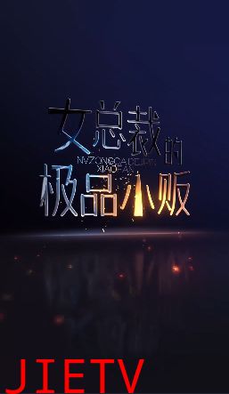 女总裁的极品小贩