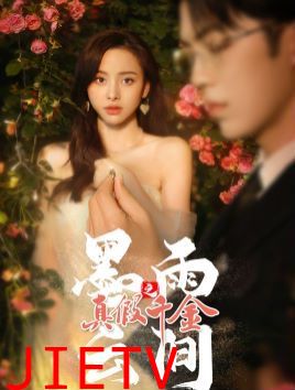 墨雨云间之真假千金