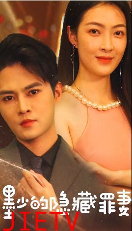 墨少的隐藏罪妻