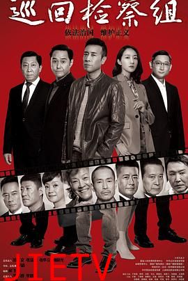 巡回检察组(DVD版)