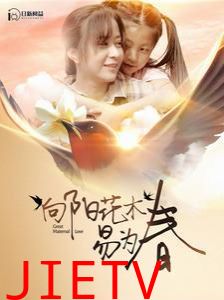 向阳花木易为春