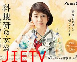 科搜研之女 第24季