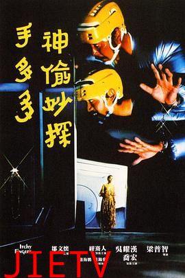 神偷妙探手多多