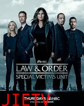法律与秩序:特殊受害者 第二十四季