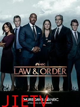 法律与秩序 第二十二季