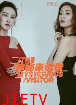 神秘来访者