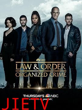 法律与秩序:组织犯罪 第三季