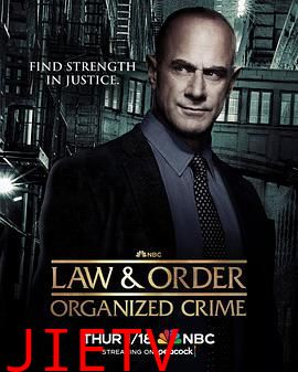 法律与秩序:组织犯罪 第四季