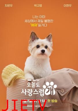 今天也很可爱的狗