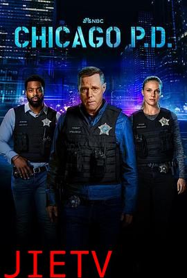 芝加哥警署 第十一季