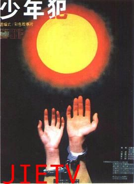 少年犯 1985版
