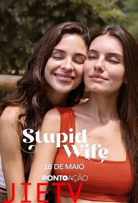 我的笨蛋老婆失忆了 第二季