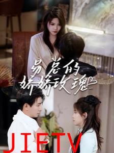 易总的娇娇玫瑰