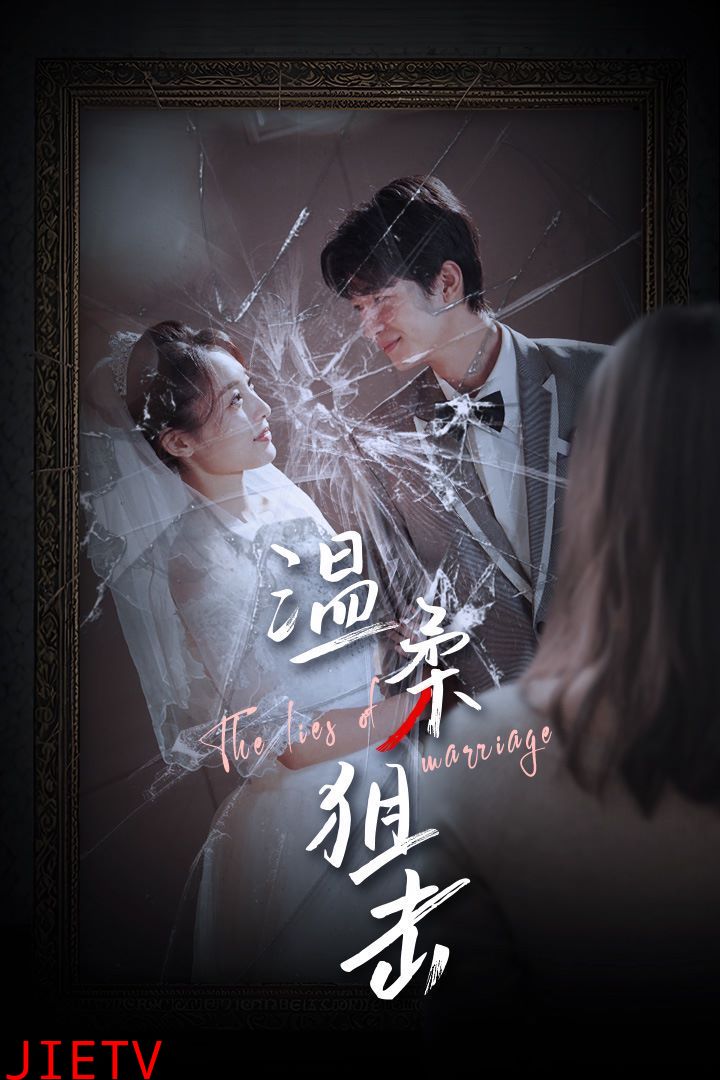 温柔狙击（婚姻迷雾）（婚姻的谎言）