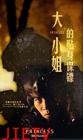 大小姐的贴身保镖（天命打工人）