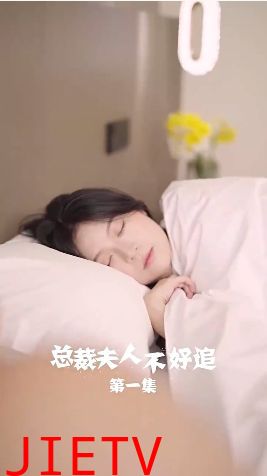 总裁夫人不好追