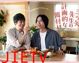 三矢老师的计划式投喂