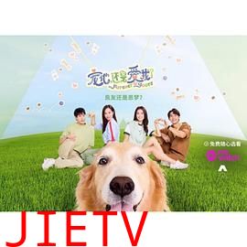 宠他,还是爱我?