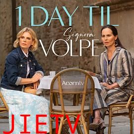 狐狸女士 第二季