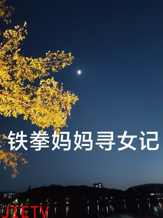 铁拳妈妈寻女记