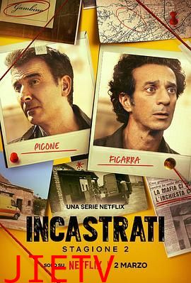 冤枉啊!西西里谋杀疑案 第二季