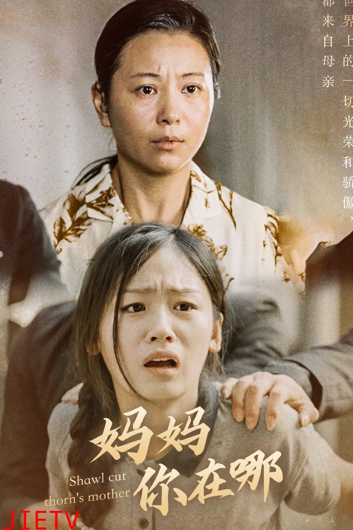 妈妈你在哪（春风不改旧时波）