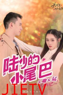 陆少的小尾巴又萌又猛