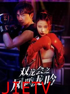 双龙会之凤鸣龙吟