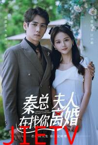 秦总，夫人在找你离婚