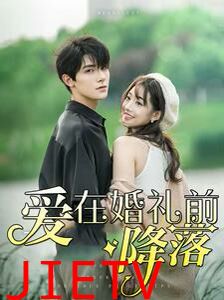 爱在婚礼前降落