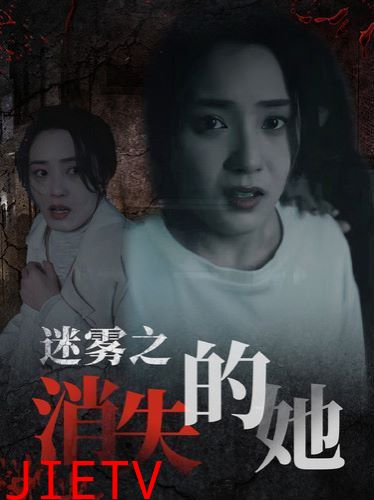 迷雾之消失的她