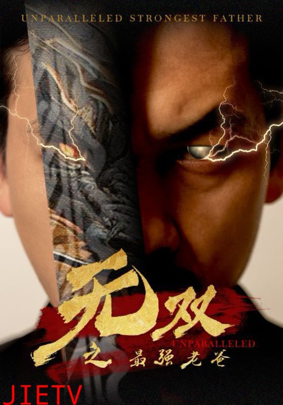 无双之最强老爸