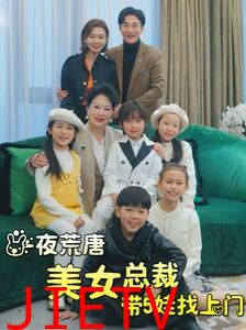 一夜荒唐美女总裁带5娃找上门