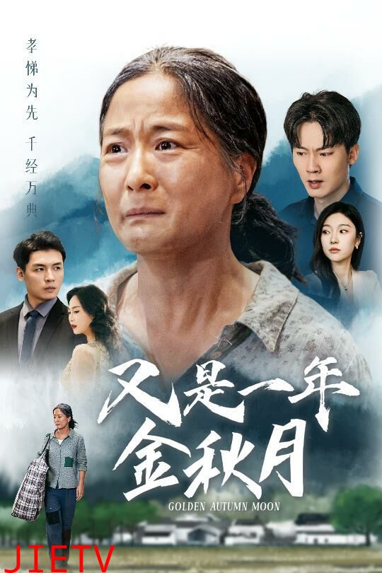 又是一年金秋月