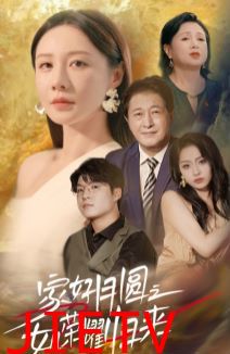 家好月圆之女儿荣耀归来