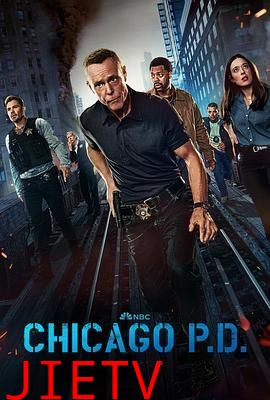 芝加哥警署 第十二季