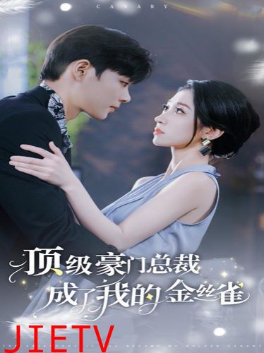 顶级豪门总裁成了我的金丝雀