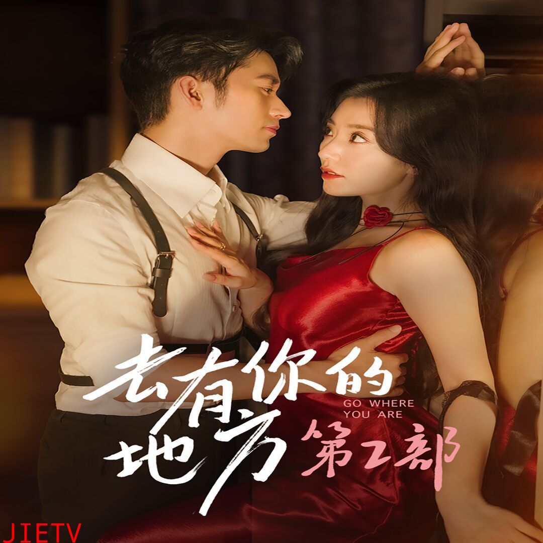 去有你的地方第2部