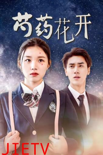 芍药花开（火光中的芍药花）